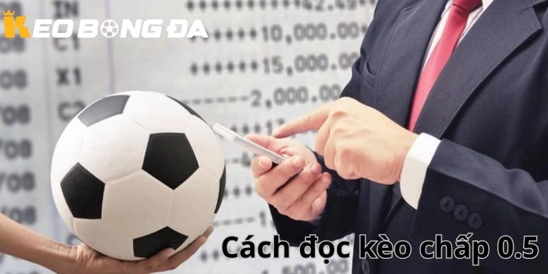 Cách đọc Kèo chấp 1/2 tại Kèo Bóng Đá