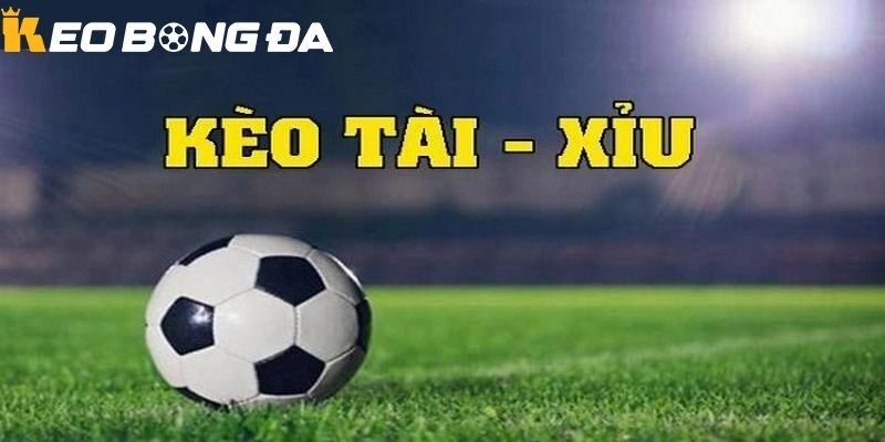 Tổng quan về kèo Tài - Xỉu
